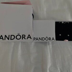Pandora Necklace and Earrings set